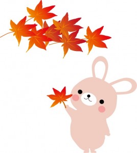 illust911