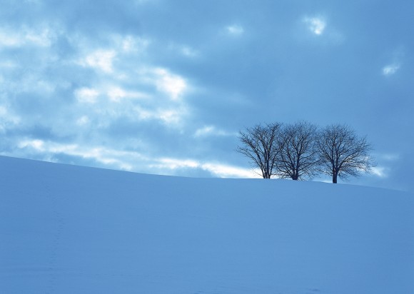 小雪 大雪 の意味とは 21年はいつ 食べ物はなに 日本文化研究ブログ Japan Culture Lab