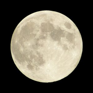 月にうさぎがいるといわれているのはなぜ 月うさぎが餅つきをしている由来とは 日本文化研究ブログ Japan Culture Lab