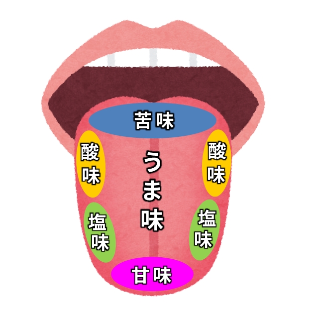 舌にある味覚受容体の場所