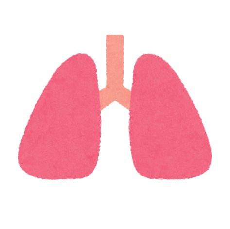 肺臓