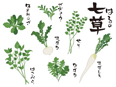 春夏秋冬の七草とそれぞれの意味とは 夏や冬にも七草はあるの 日本文化研究ブログ Japan Culture Lab
