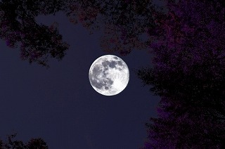 夜中の月