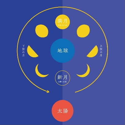 月の満ち欠けと名前一覧 読み方と意味とは 日本文化研究ブログ Japan Culture Lab