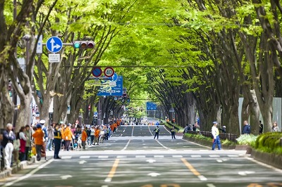 仙台はなぜ杜の都なの いつから呼ばれるようになった 意味と由来とは 日本文化研究ブログ Japan Culture Lab