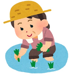 田植えの時期はいつ 全国各都道府県の時期を一覧にまとめました 日本文化研究ブログ Japan Culture Lab