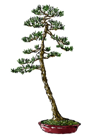 文人木