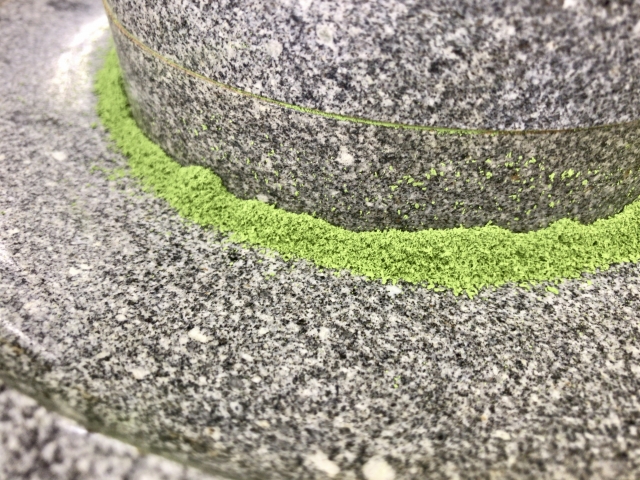 石臼で挽かれて出てきた抹茶の粉