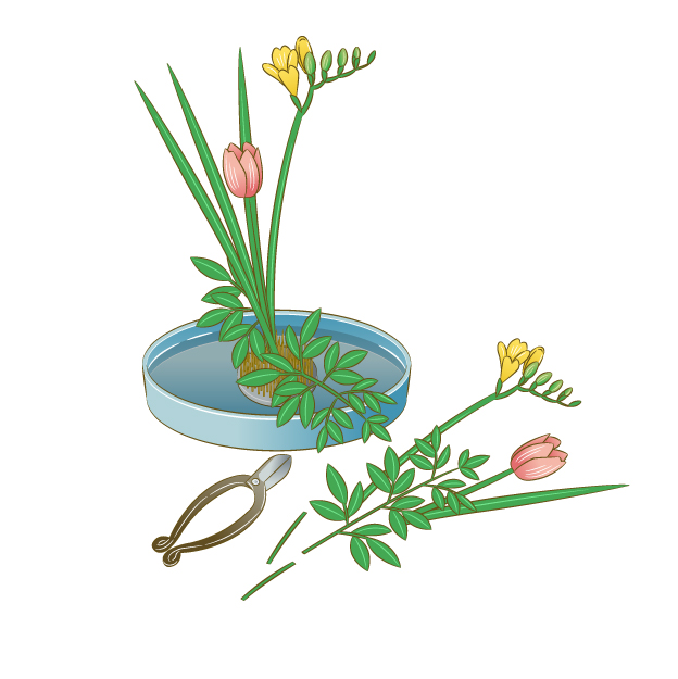 水盤に生けた花と、花ばさみ、切りそろえた花材のイラスト