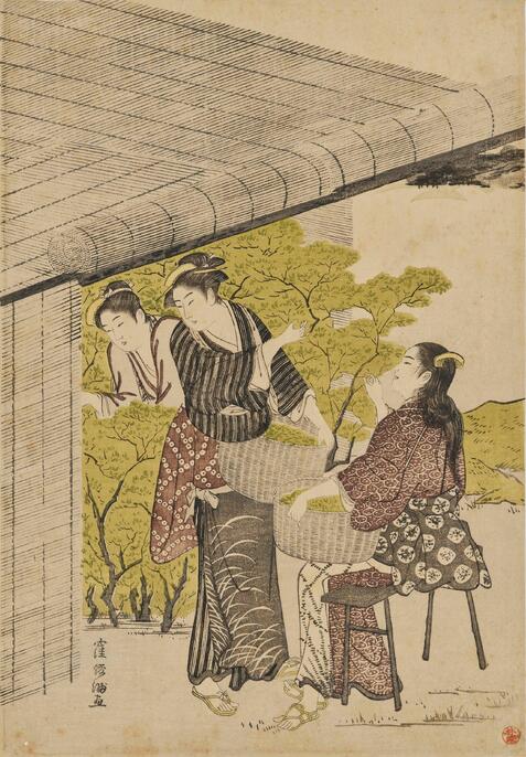 ヨシズとワラで覆った茶園で茶を摘む様子(窪俊満筆「宇治茶摘」東京国立博物館蔵)