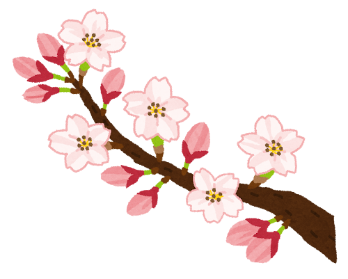 良い花は後から