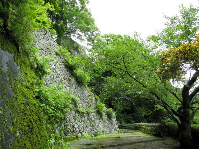 岡城跡の高石垣と大手坂